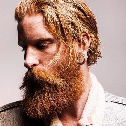 Bandholz Beard |  New Old Man