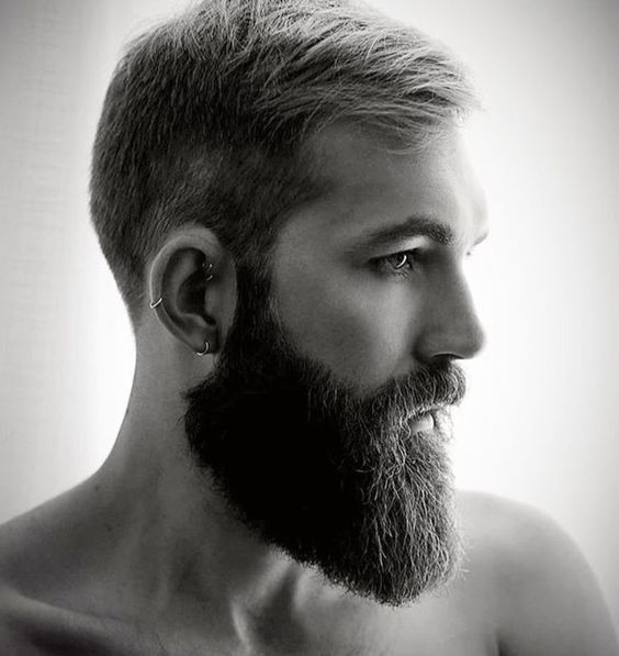 Spartan Style Beard |  New Old Man