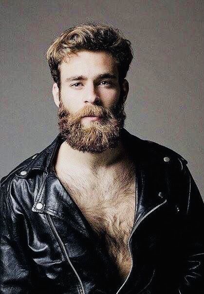 Garibaldi Beard |  New Old Man