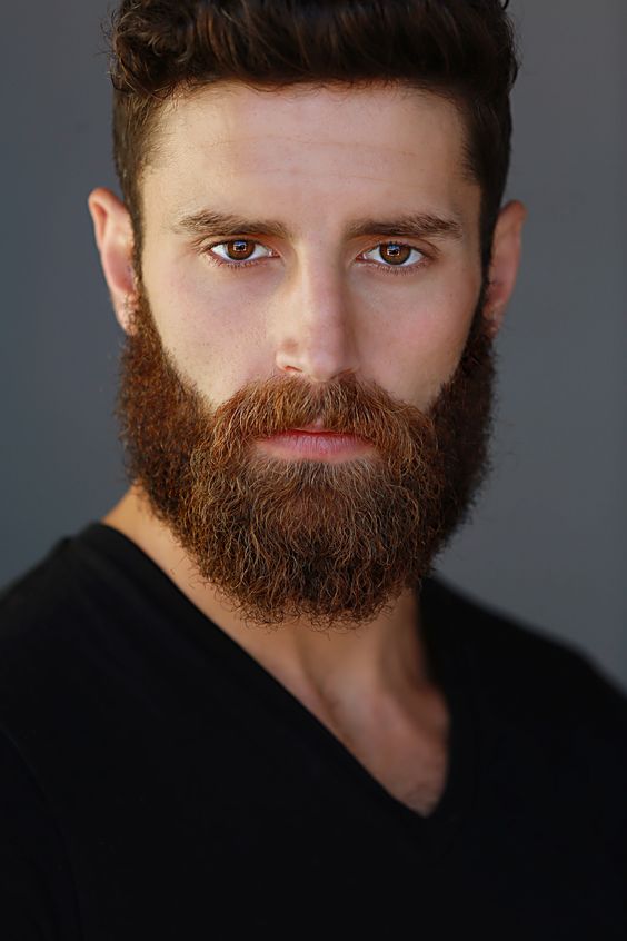 Garibaldi Beard |  New Old Man