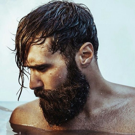 Old Dutch Beard All About, How To, and 14 Inspirations