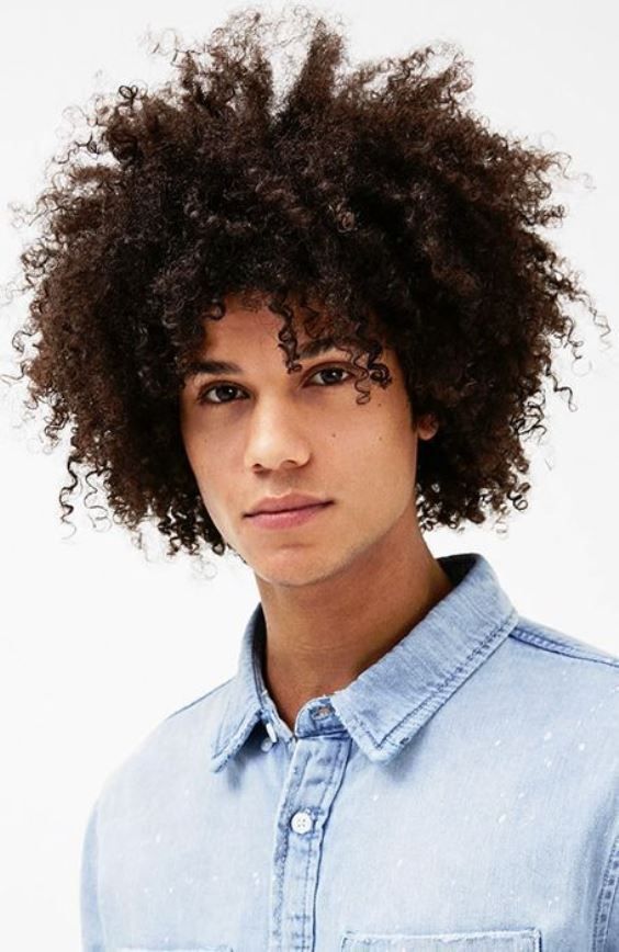 Black Power Curly Male Haircuts 2