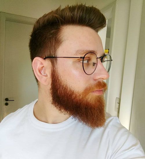 Styles de barbe - Barbe Viking 4