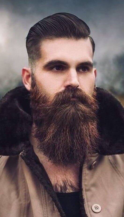 barba hipster
