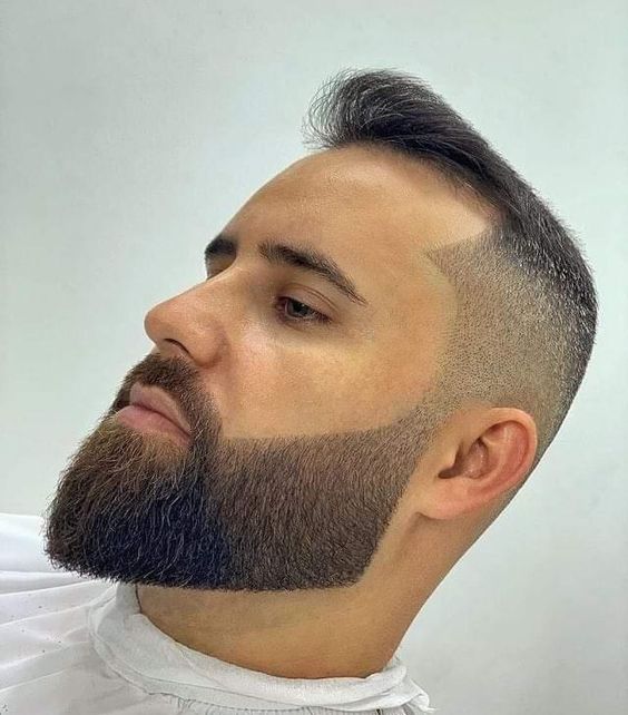Barba lineare