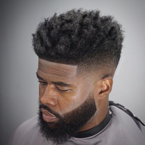 Cortes para hombre Curly High Top Fade Modern