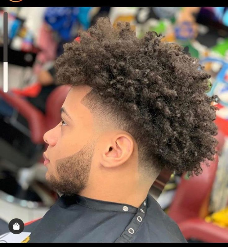 Men's Haircuts for Curly and Afro Hair Temp Fade with Curly Hair