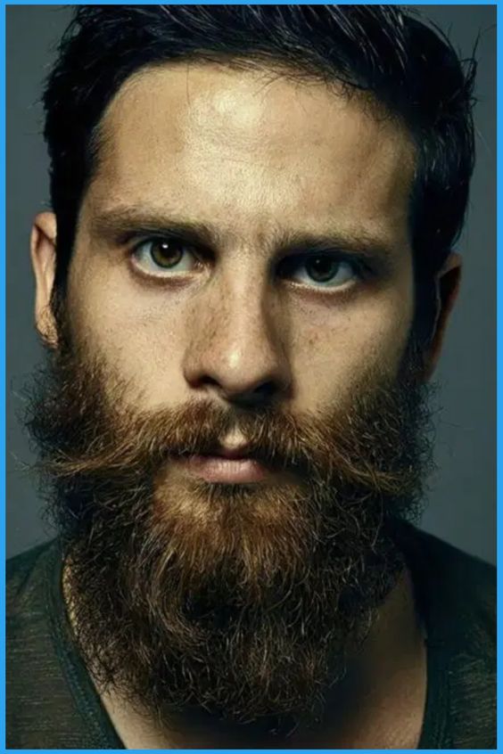 Hipster Beard Trends and Inspirations